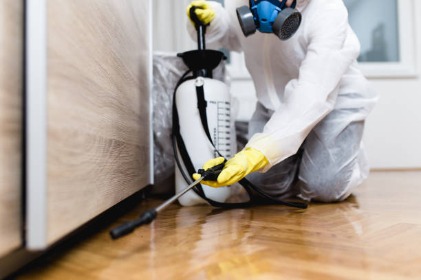 Best Affordable Pest Control Services  in Plantation, FL