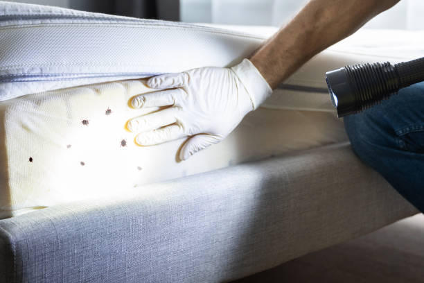 Pest Control Cost in Plantation, FL