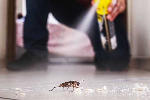 Best Bed Bug Extermination  in Plantation, FL