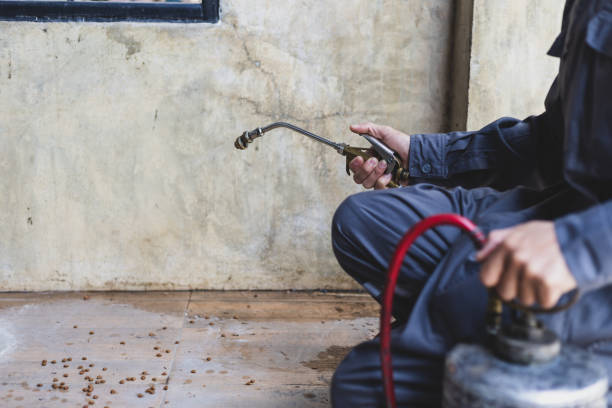 Best Commercial Pest Control Services  in Plantation, FL