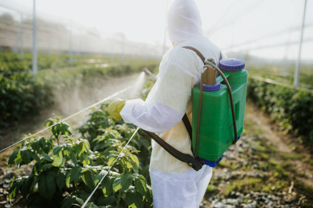 Best Pest Inspection Near Me  in Plantation, FL